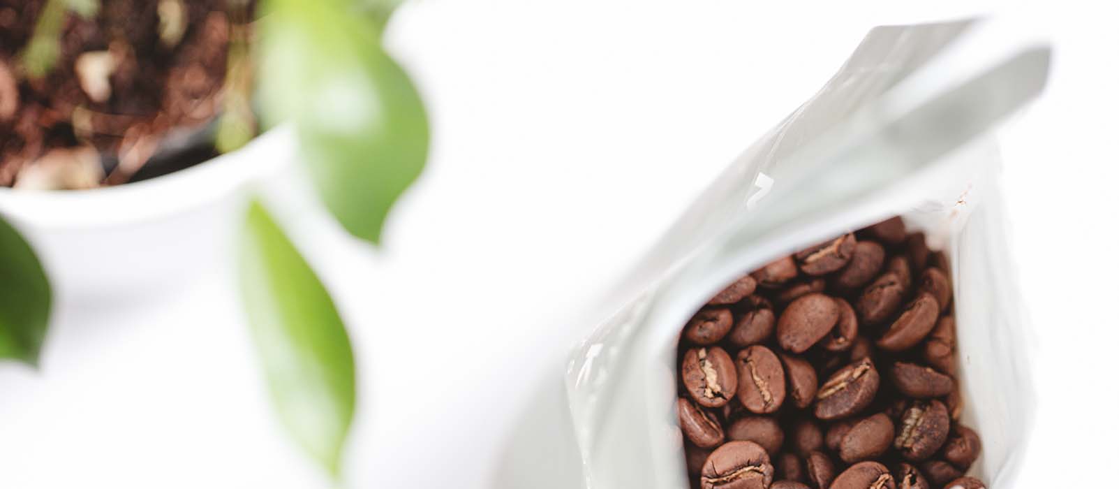 Qu'est-ce que le café en grain pure origine ? - L'Arbre à Café