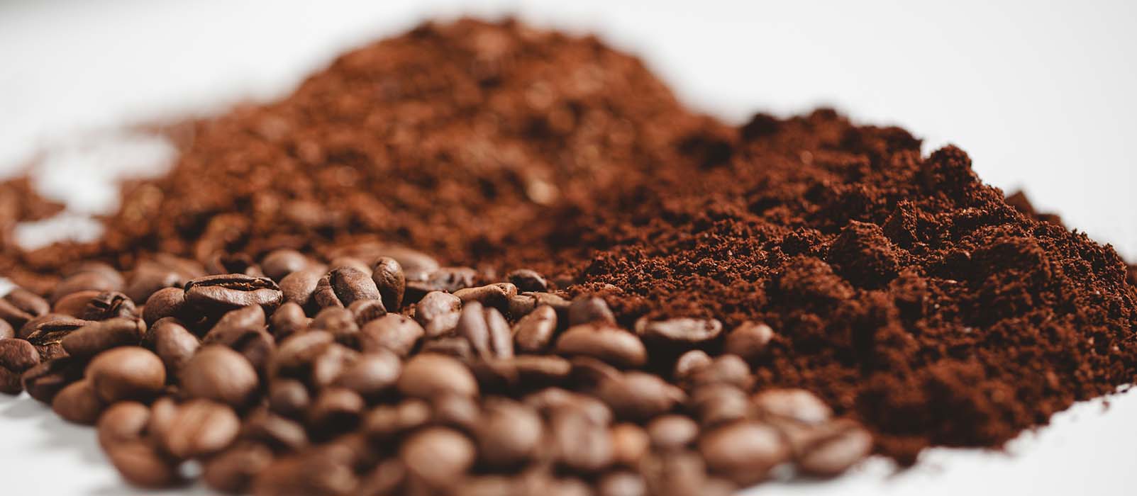 Café en grain et torréfaction