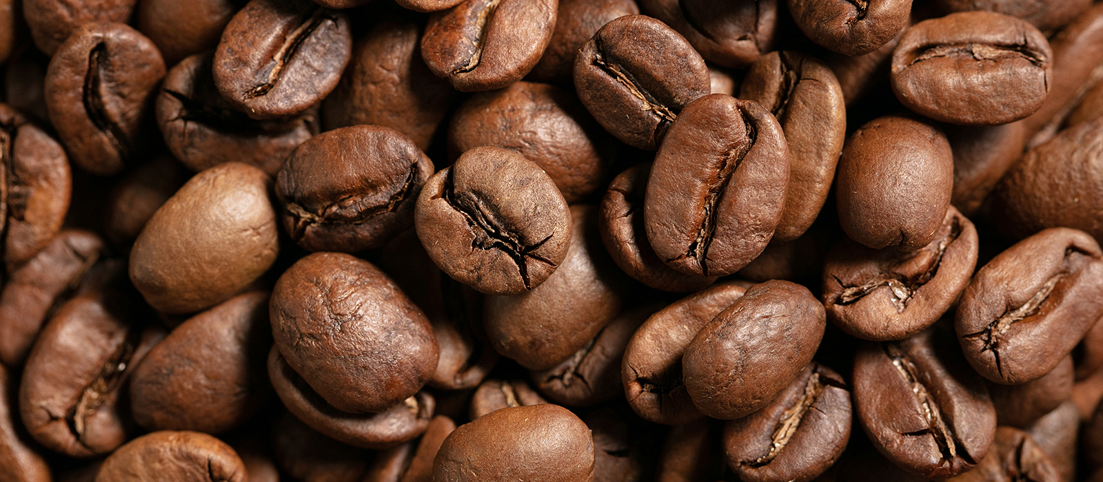 coffee beans roasted