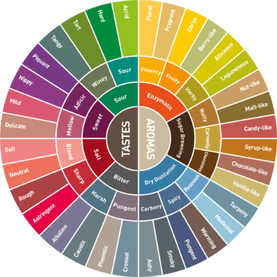 coffee Flavour wheel
