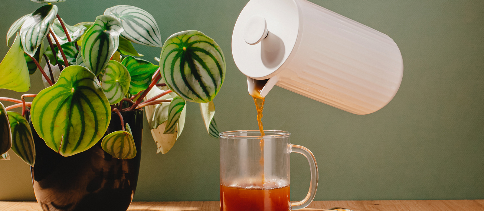 cafetiere materials