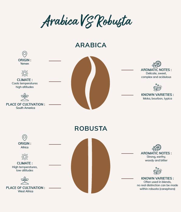arabica VS robusta EN