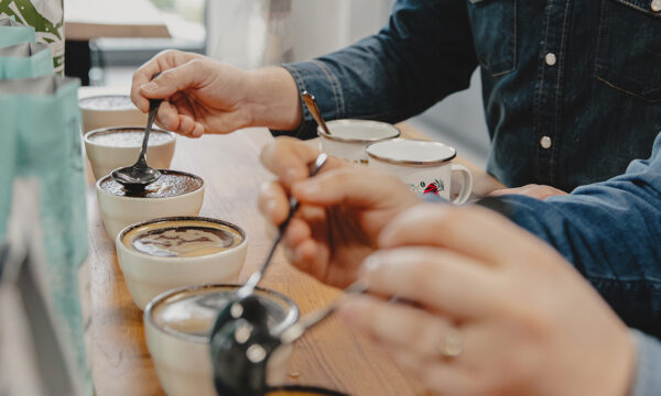 cupping coffee