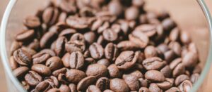 Blue mountain coffee price