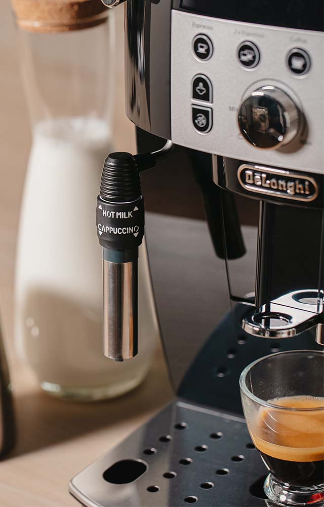 delonghi magnifica quelle machine choisir