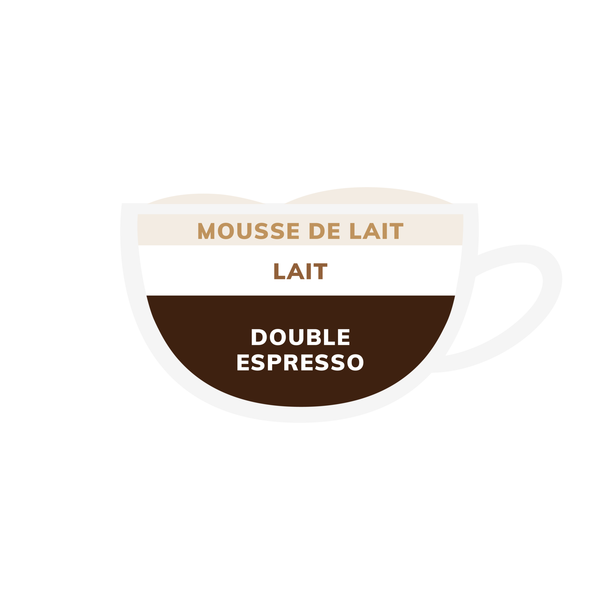 Quels sont les différents types de cafés ? - MaxiCoffee