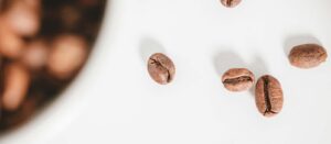 faq arabica ou robusta faq arabica ou robusta