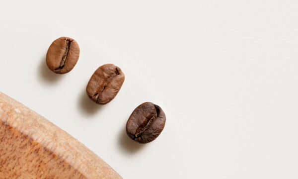 arabica vs robusta