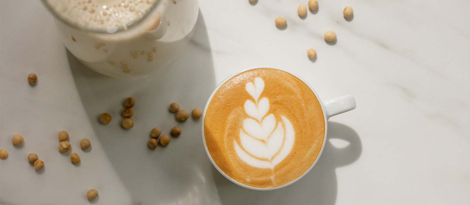 quel lait choisir cappuccino