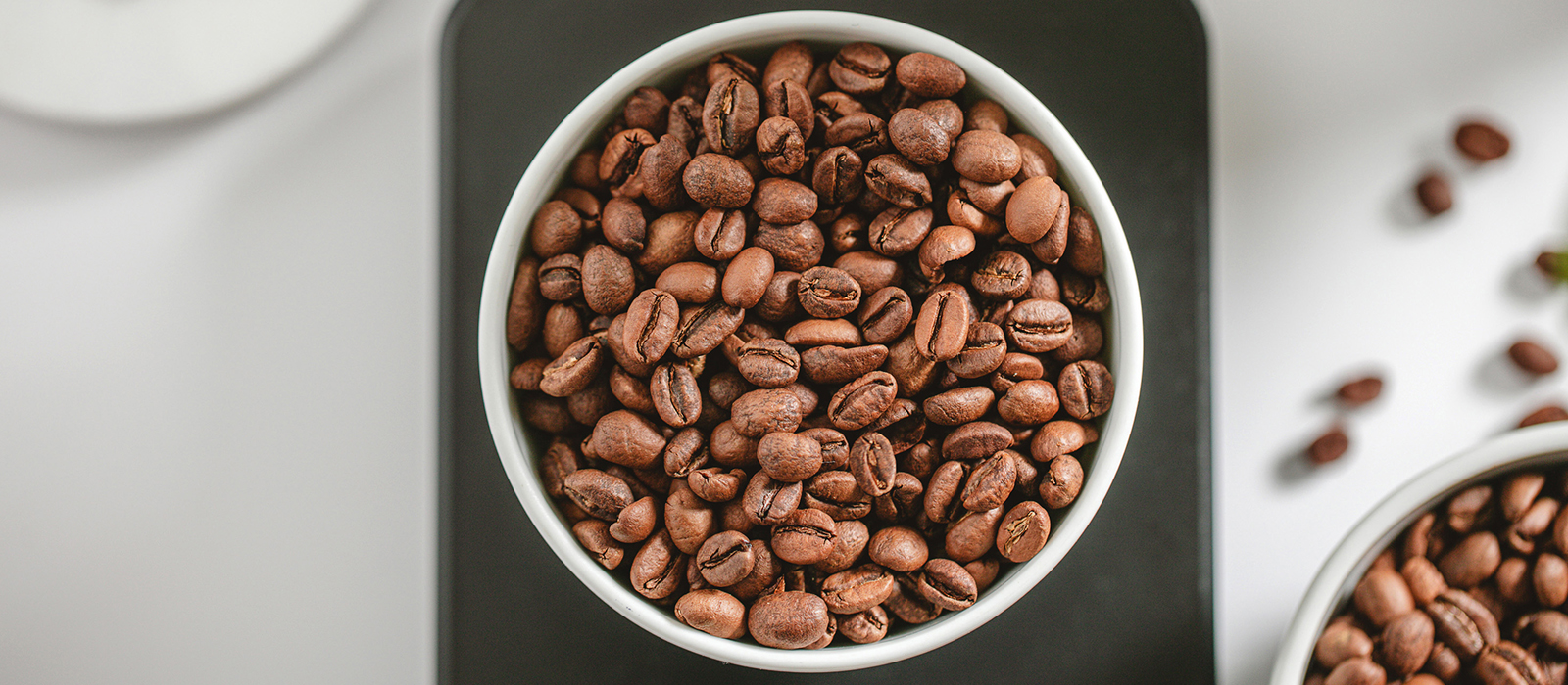 le café est-il bon pour la santé