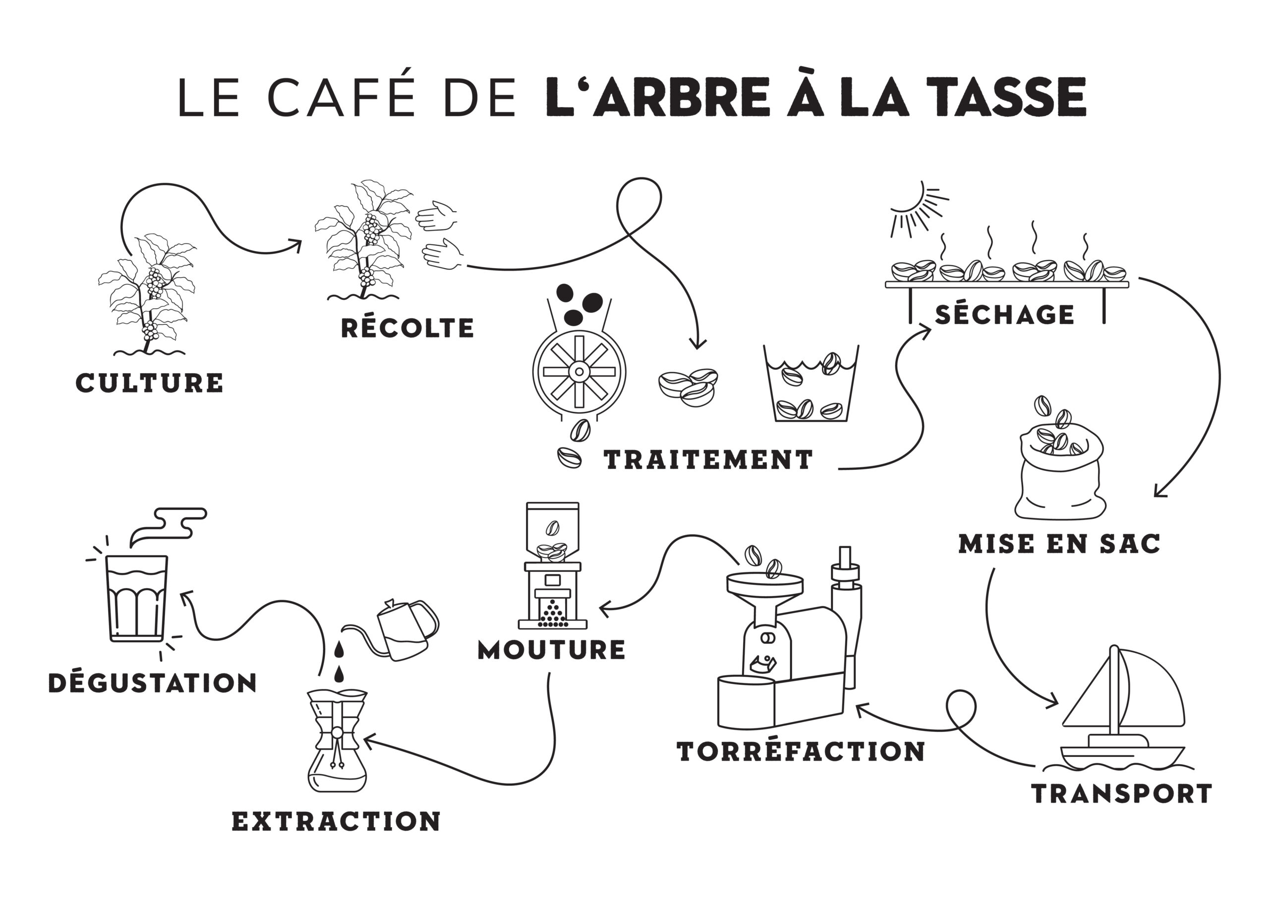 arbre à la tasse