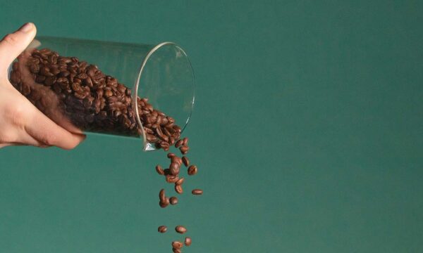 Comment choisir son café en grain