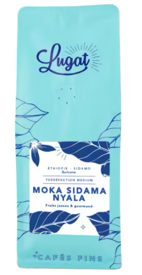 cafe lugat moka sidama nyala