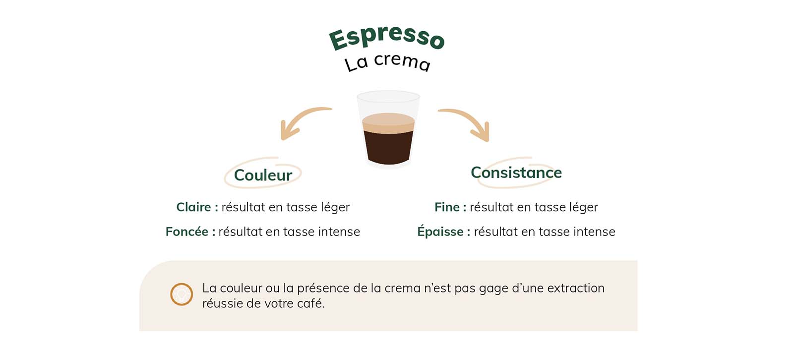 Crema espresso dégustation du café