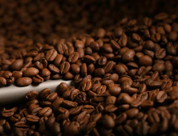 coffee beans roast