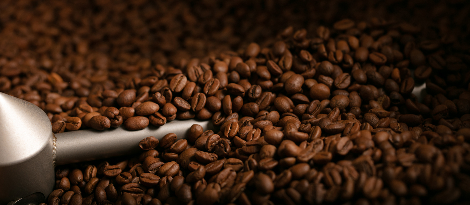 coffee beans roast