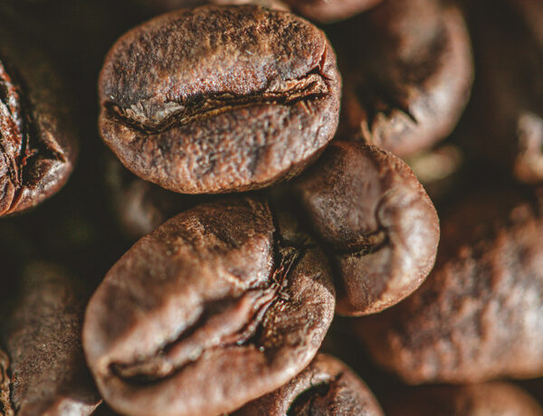 coffee beans