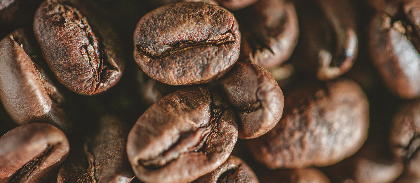 Coffee beans : Everything you need to know
