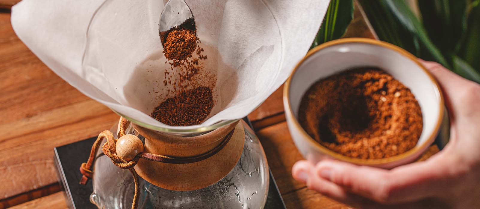 quelle cafetière choisir cafetiere slow coffee