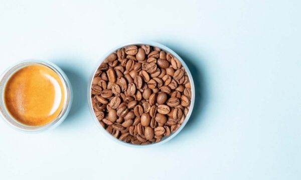meilleurs cafés en grain bio