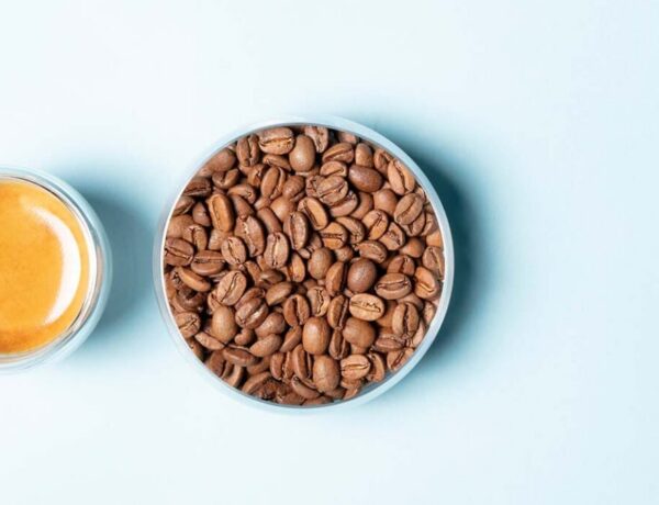 meilleurs cafés en grain bio