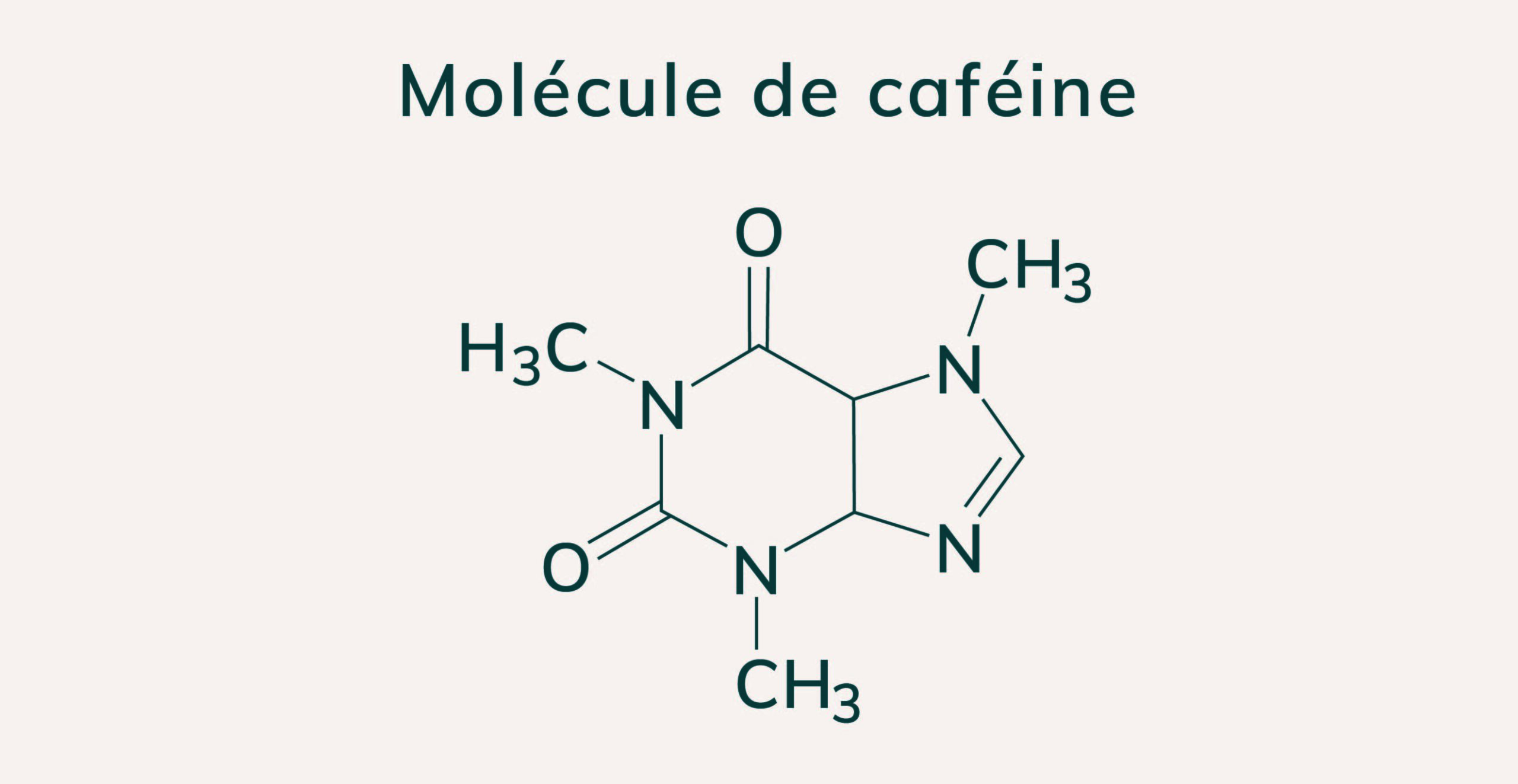 café décaféiné caféine