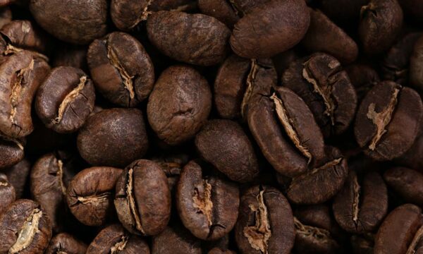 café robusta origine