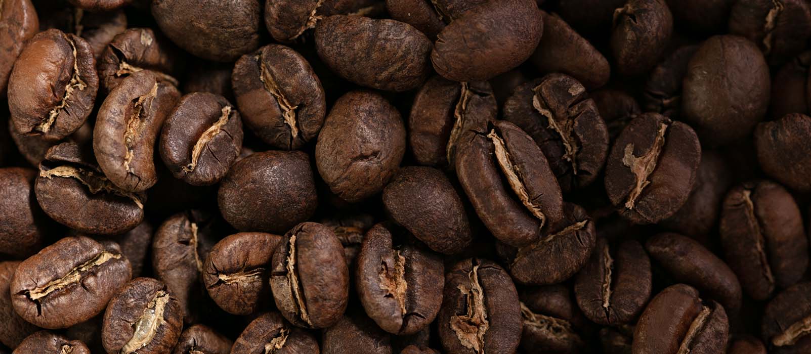 café robusta origine