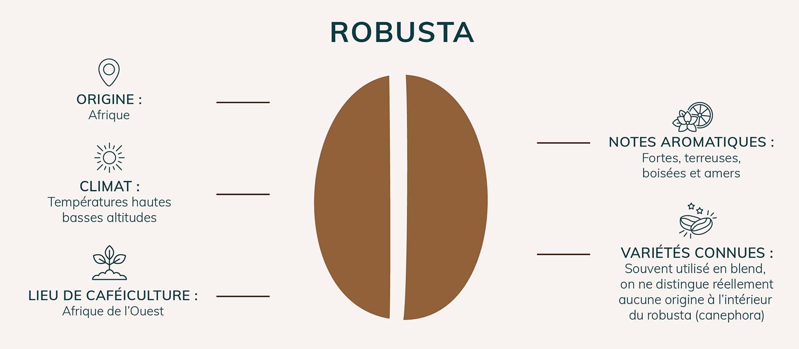 cafe robusta