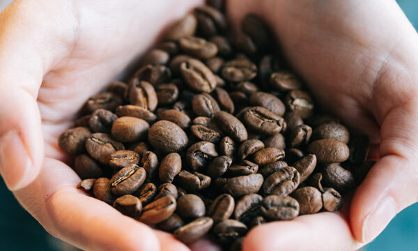 which coffee is best best coffee beans