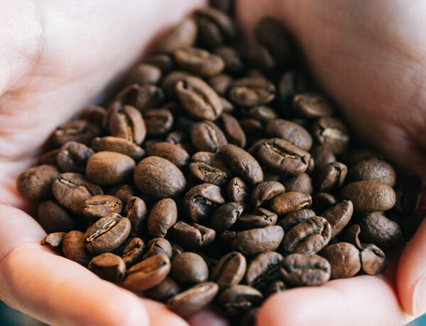 which coffee is best best coffee beans