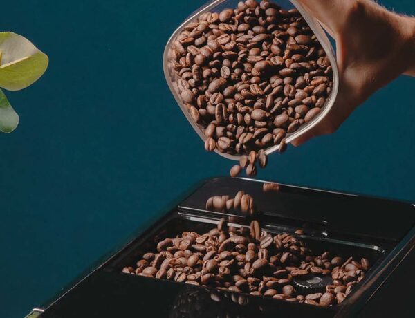 meilleur café en grain
