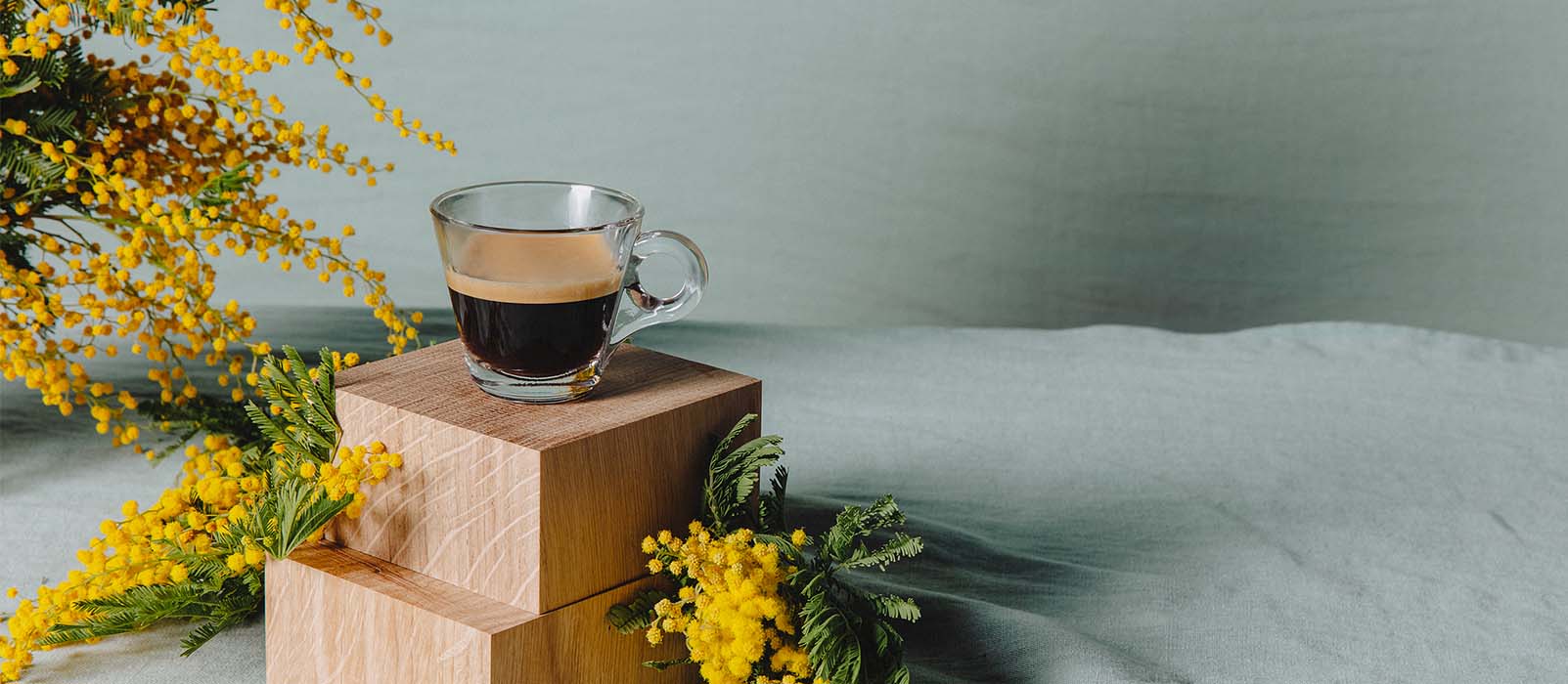 Kaffeebohnen kaffe preis Kaffeebohnen kaffe preis