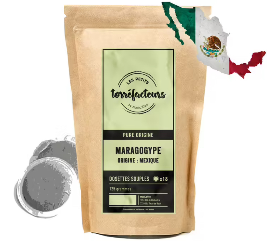 Café Maragogype Mexique