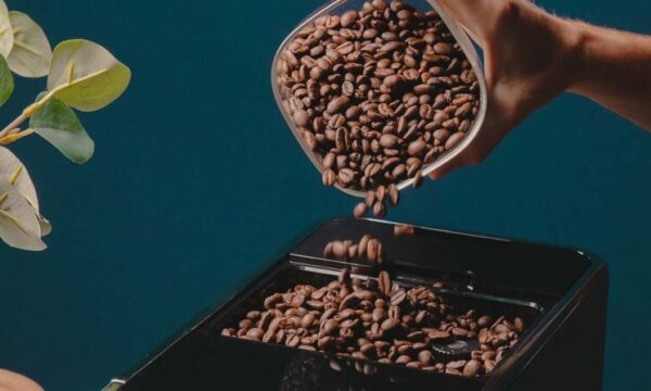 meilleur-cafe-en-grain-1024x447