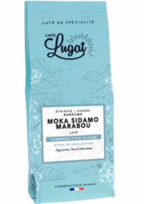 moka sidamo marabou
