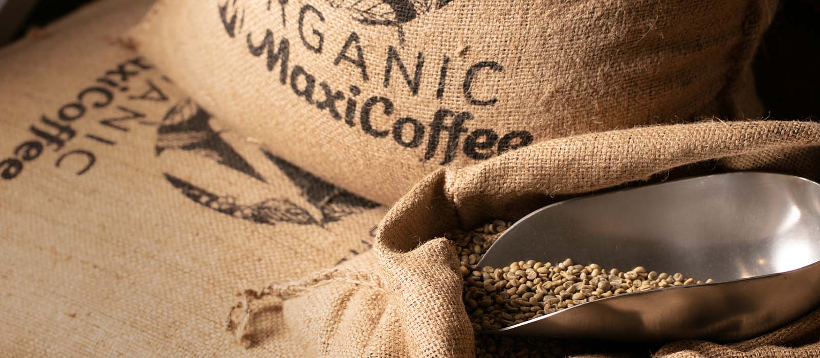 café faire tout comprendre sur la torréfaction