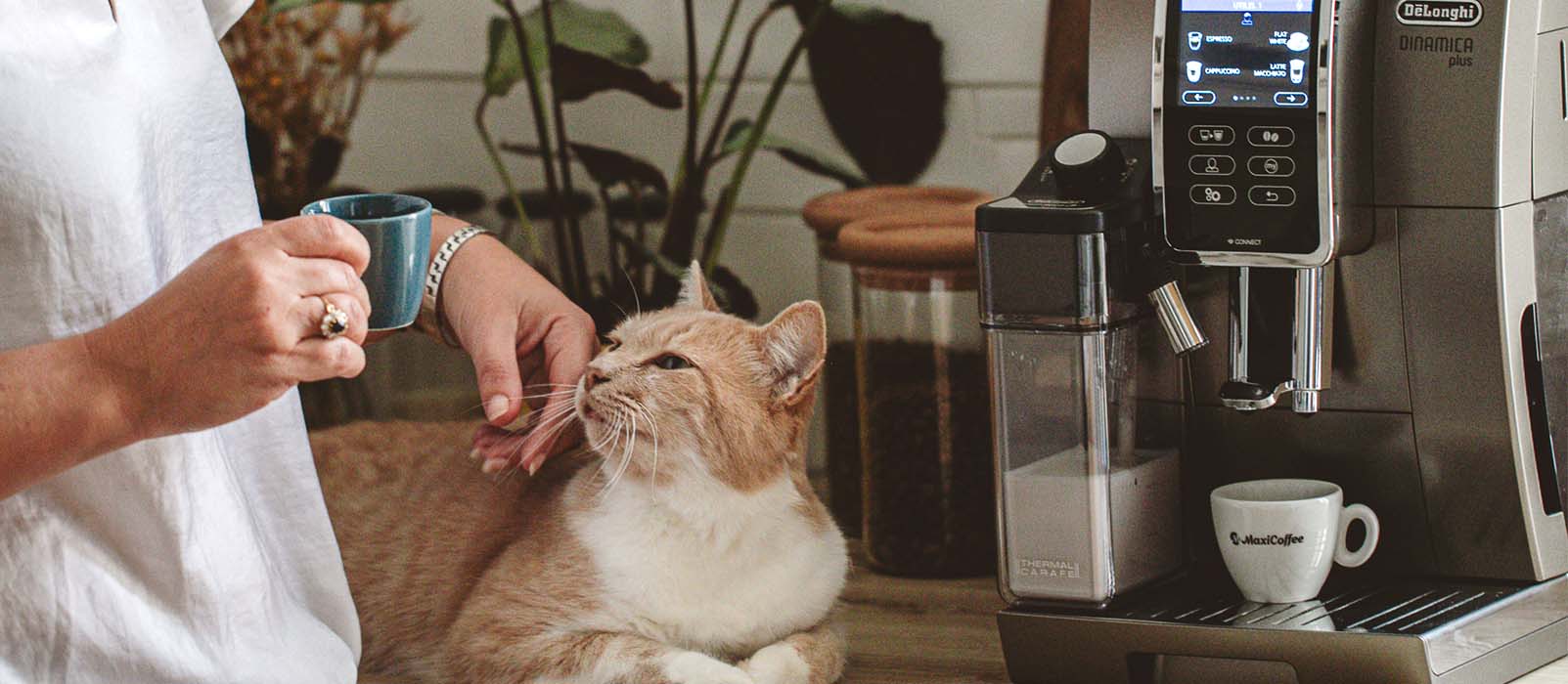 comparatif machines a cafe delonghi dinamica ou magnifica