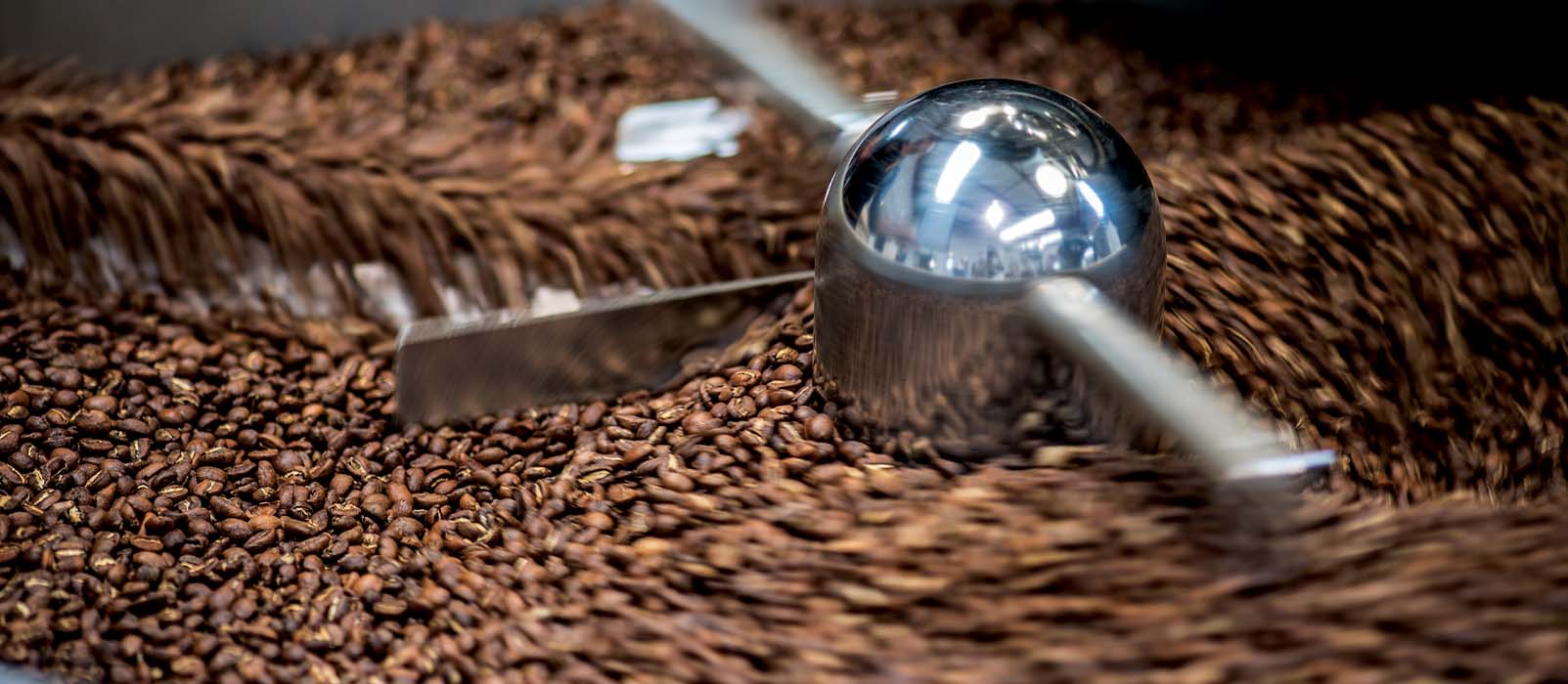 torréfaction étapes