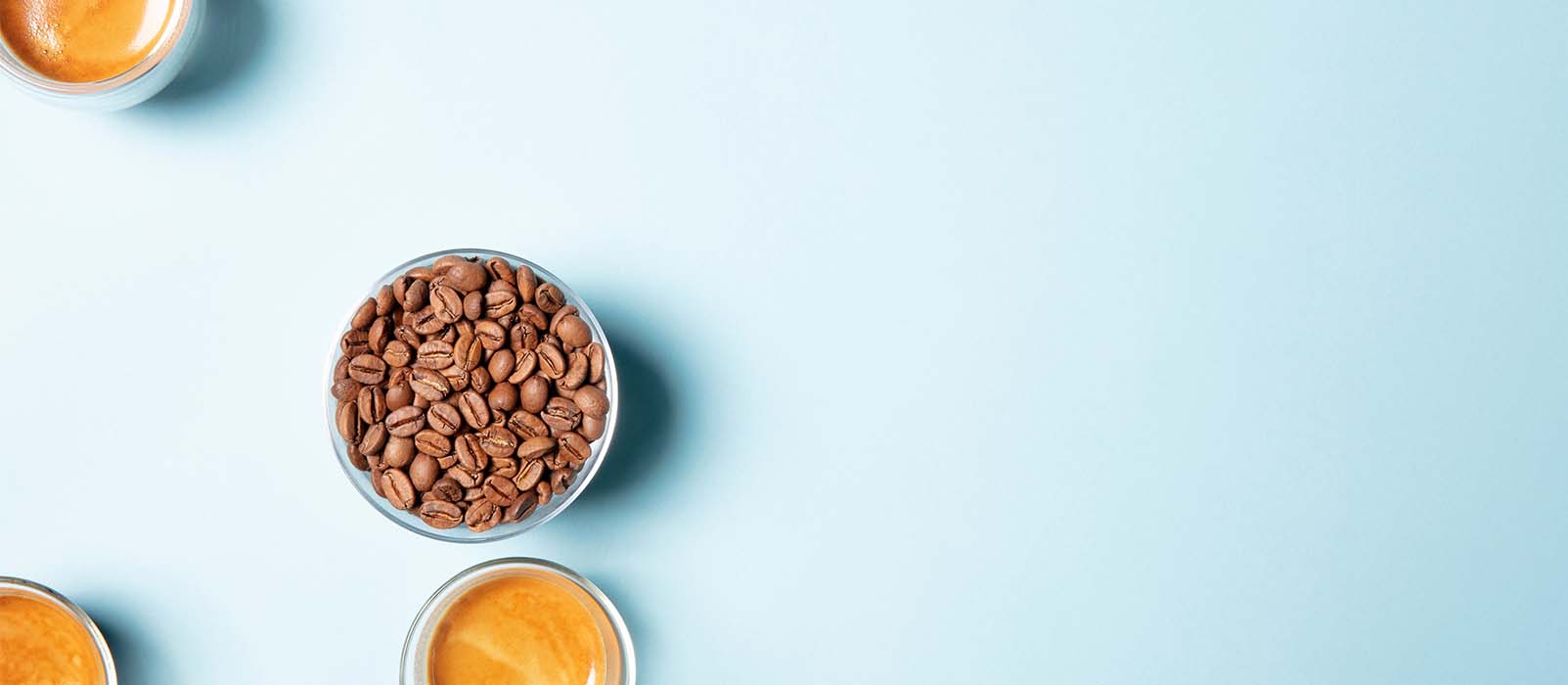 quel moulin à café baratza choisir comparatif