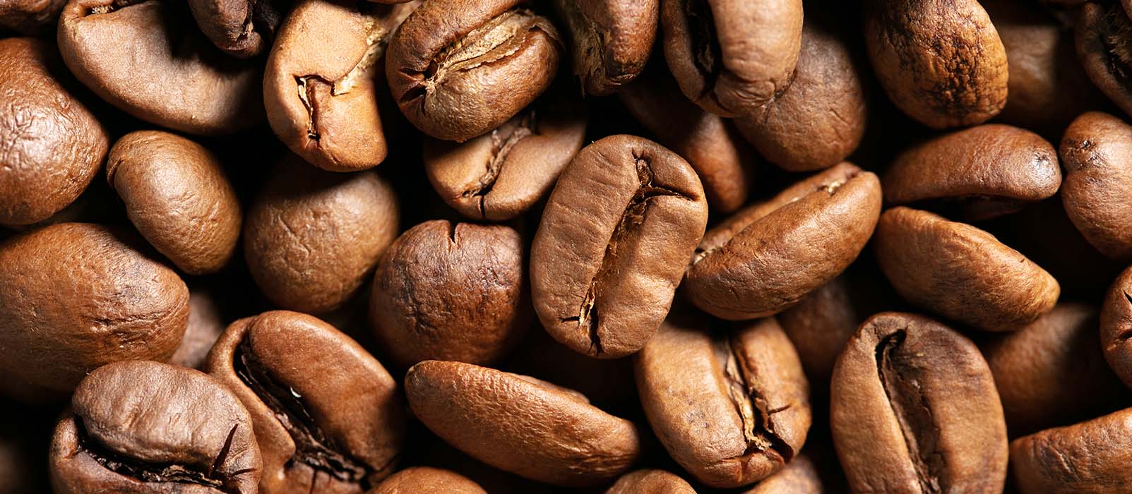 cafe d'indonésie kopi luwak