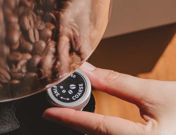 meilleur moulin à café professionnel