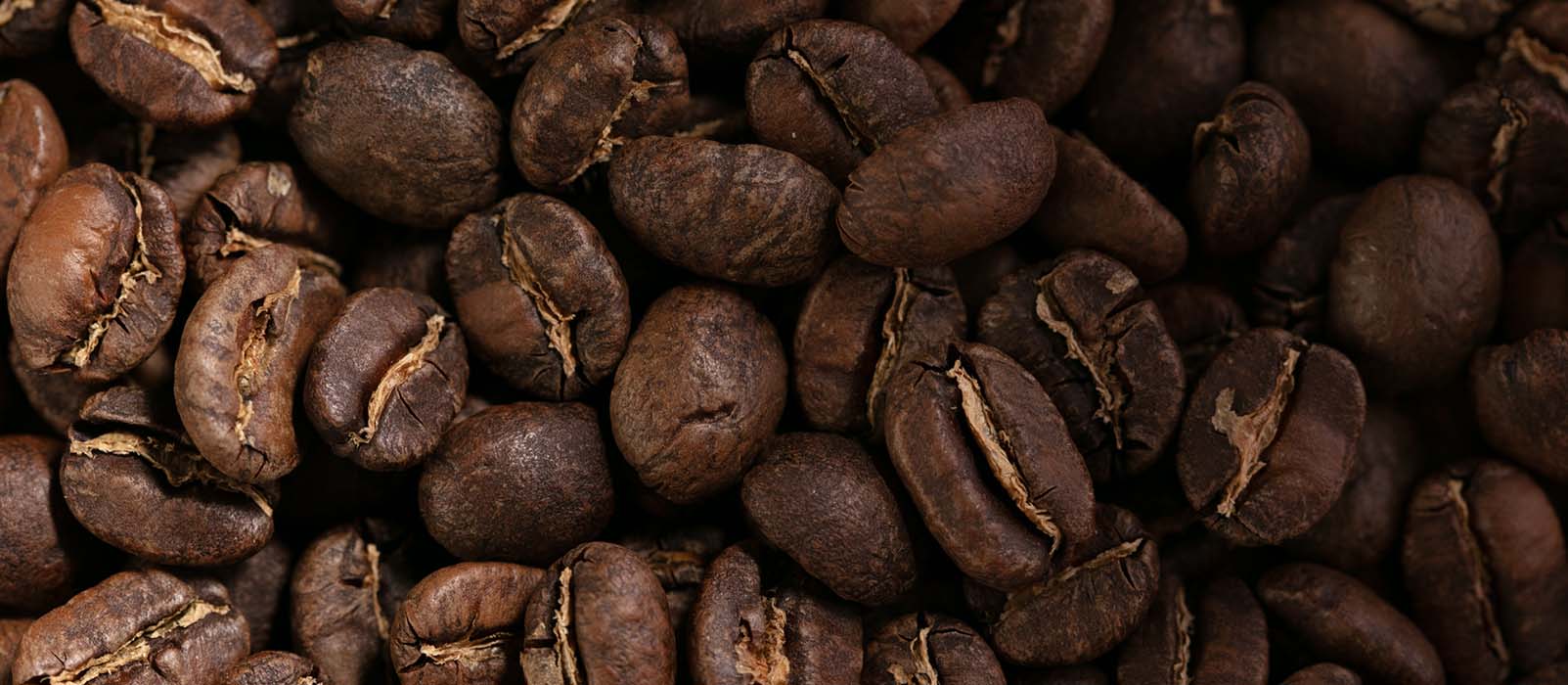beste kaffeebohnen dunklem rostgrad