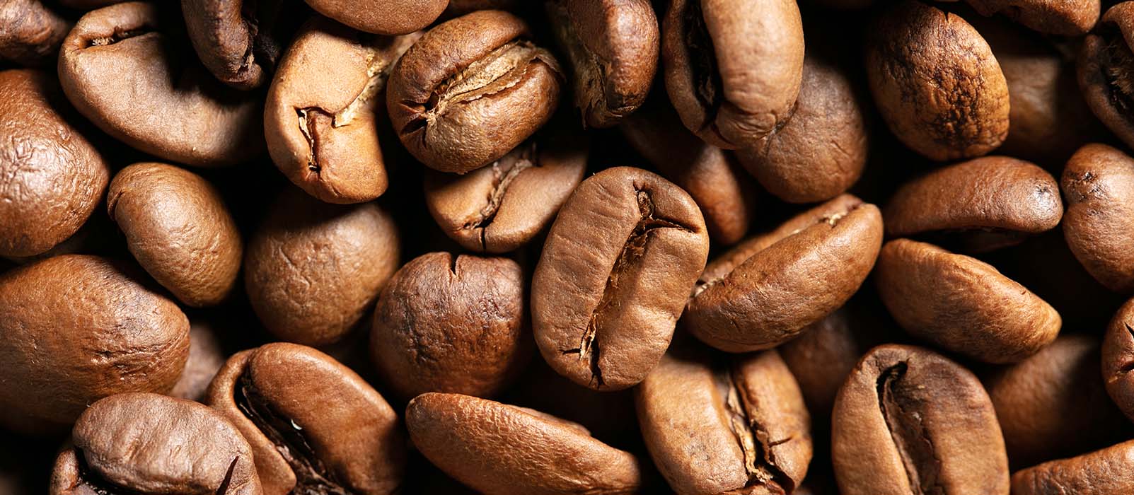 beste kaffeebohnen hellem rostgrad