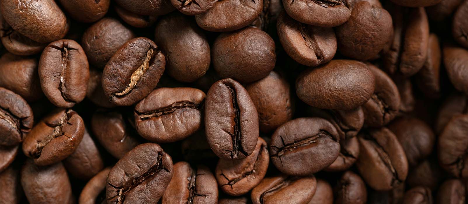 beste kaffeebohnen mittel rostgrad