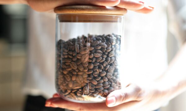 Café caturra, un café à découvrir