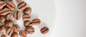 Café caturra, un arabica issu d'une mutation naturelle Café caturra, un arabica issu d'une mutation naturelle