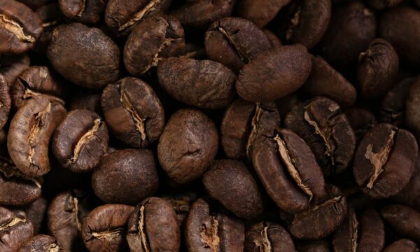 comment choisir son café