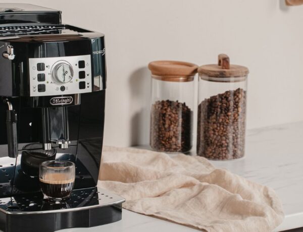 delonghi magnifica vs krups essential