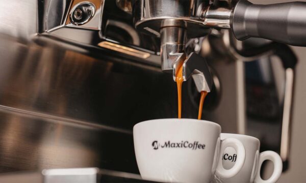 les cafes a utiliser dans les bars